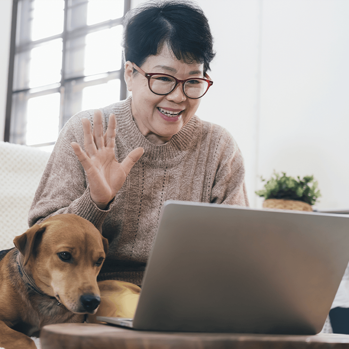 Senior woman talking using a computer with her dog beside her