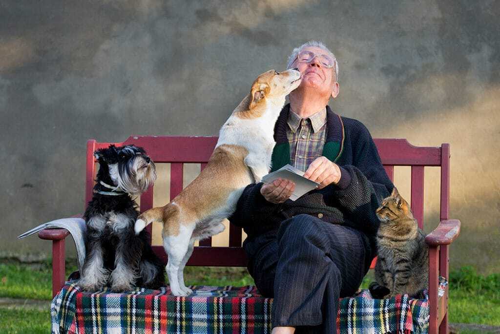 ClearCaptions Blog - How can pets help mental health?