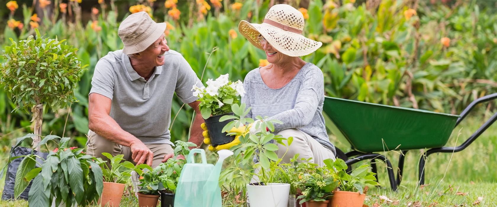 gardening tips for seniors