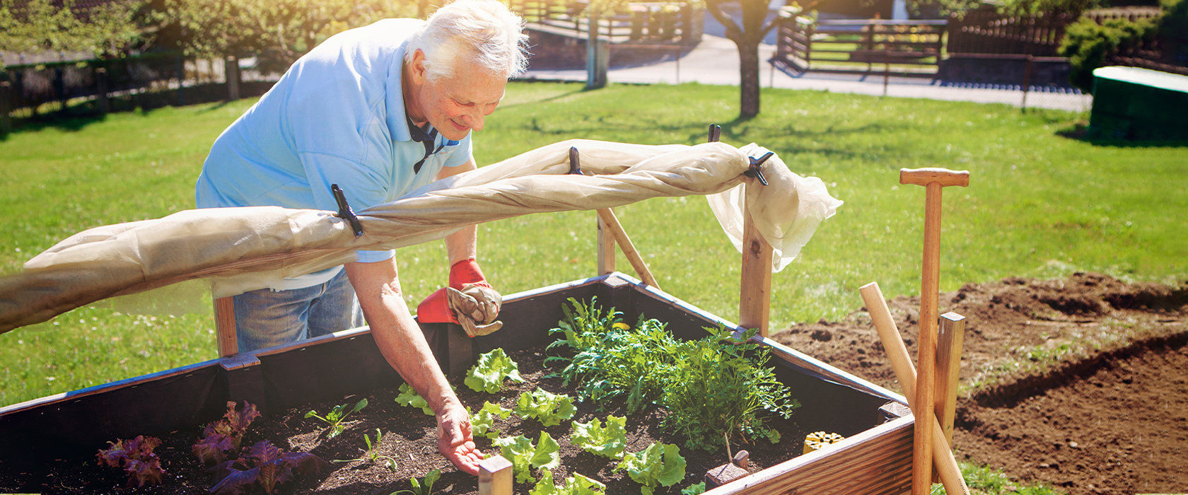 gardening tips for seniors getting started