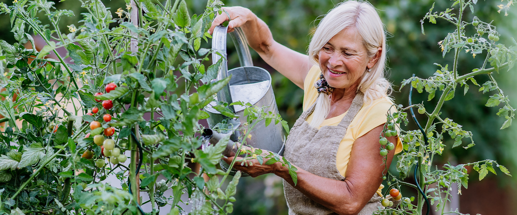 gardening tips for seniors what to grow