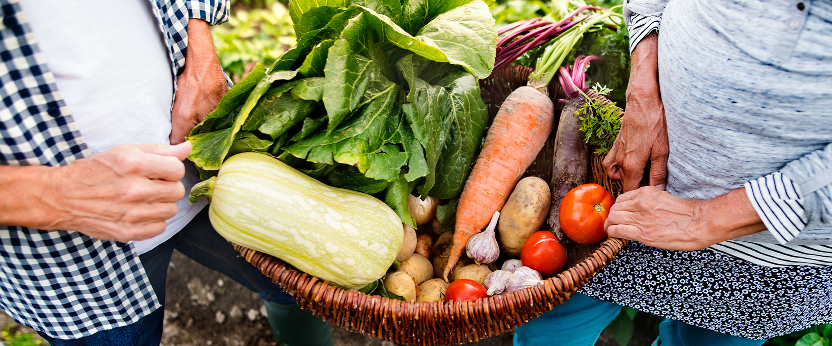 gardening tips for seniors - food and nutrients