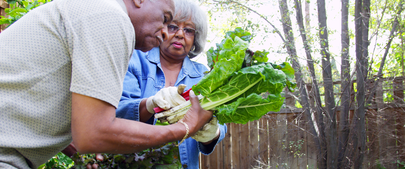 gardening tips for seniors low maintenance 